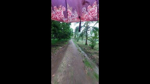 wow heavy rain