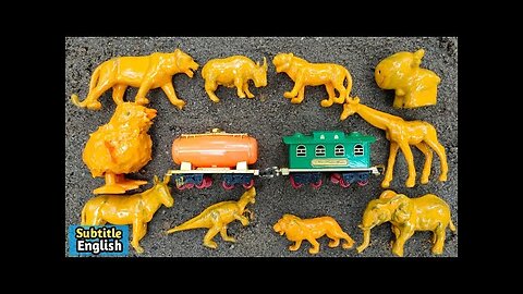 cleaning chicken cheetah tiger elephant horse giraffe buffalo lion dinosaur goat part 2