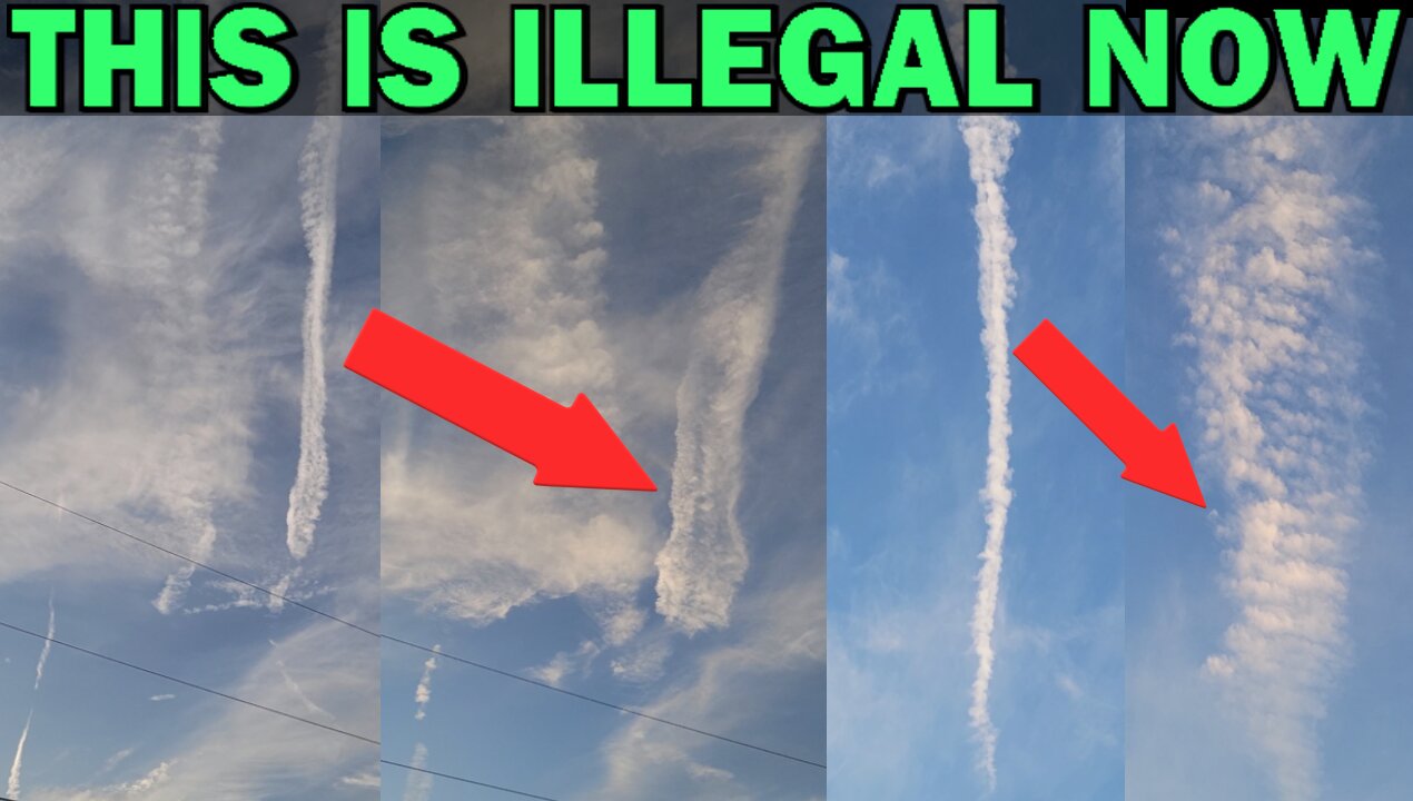 THIS IS ILLEGAL NOW in Florida!!!