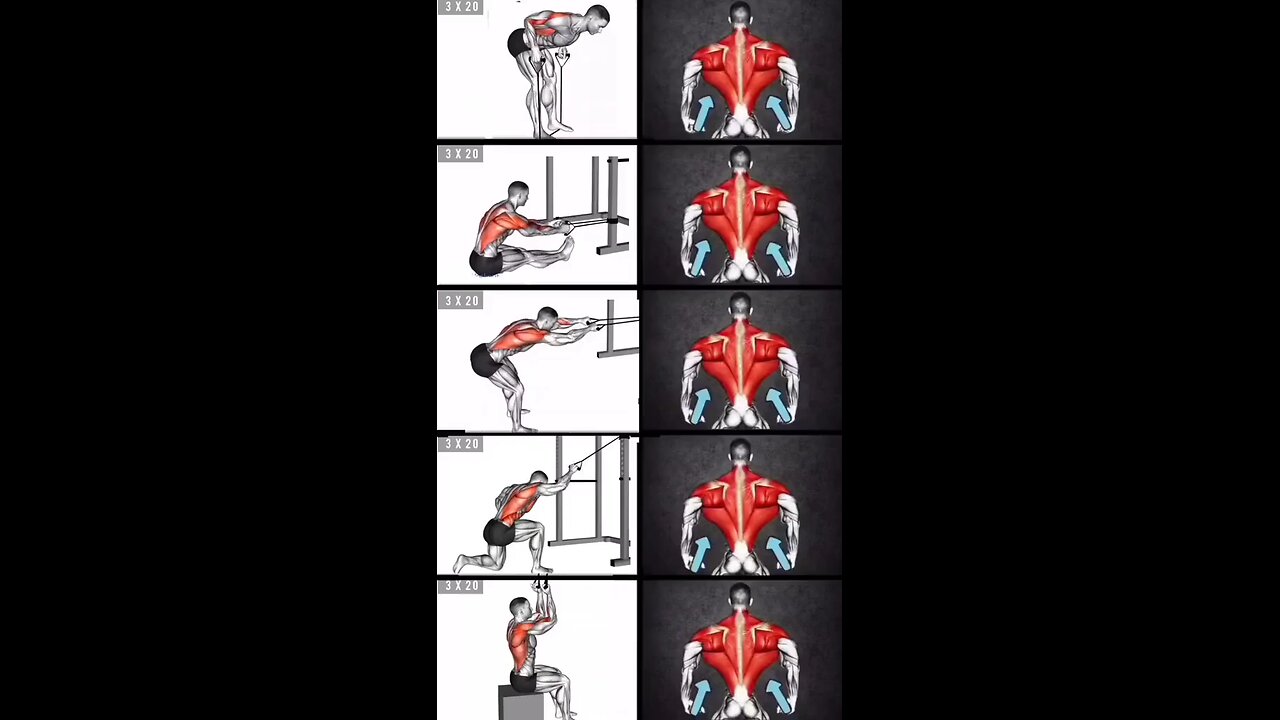 30 Day Body Transformation