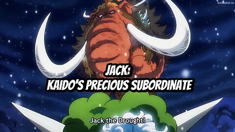 Jack: Kaido’s Precious Subordinate