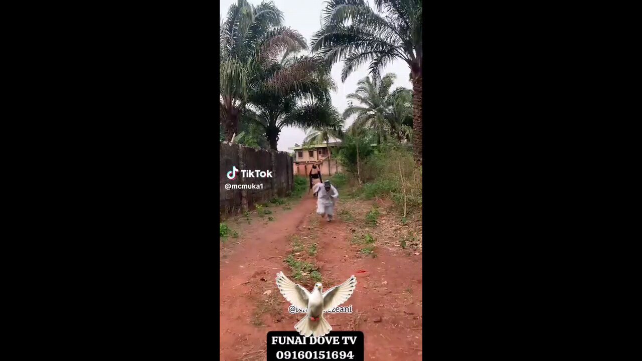 😂🤣