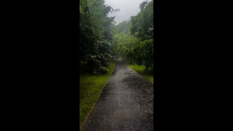 Love Nature & Peace ? Take a small walk with me
