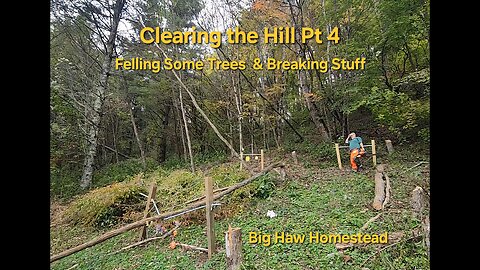 Clearing the Hill Pt 4 - Felling Some Trees & Breaking Stuff
