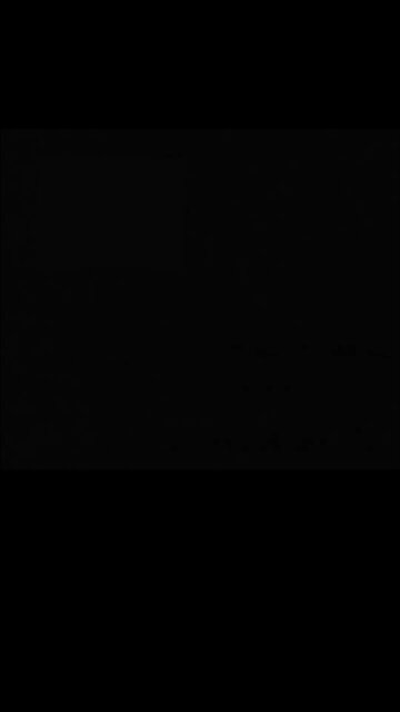 All of my doubts, suddenly goes away Somehow #cute #cat #kitten #kitty