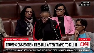 Crockett Says She Wasn’t ‘Attempting to Mislead People’ When She Tied Lee Zeldin to Jeffrey Epstein