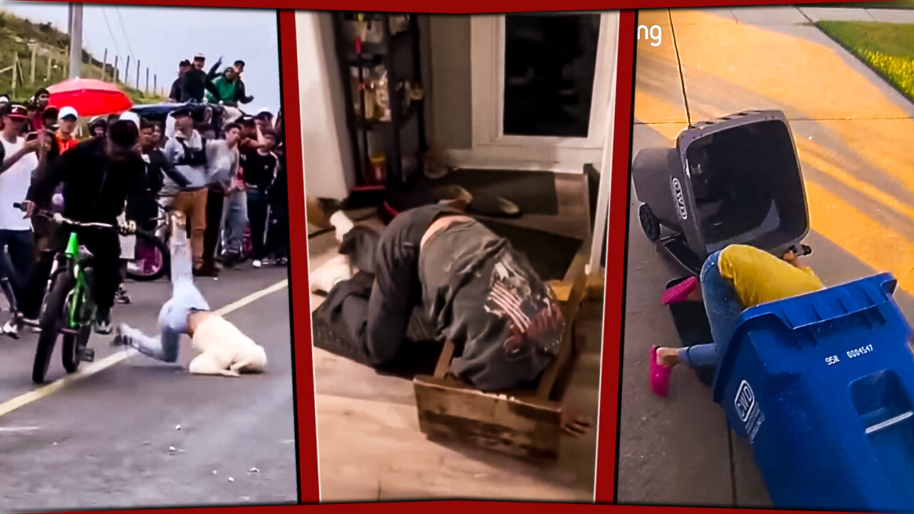 😂 FUNNY FAILS! When Life Hits You With a Reality Check! 😂