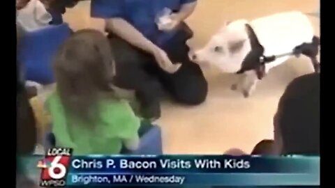 😂Chris. P Bacon_ News Reporter Looses It On Live Tv😂