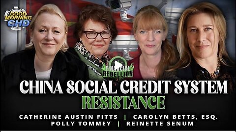 Catherine Austin Fitts ~ China Social Credit System Resistance