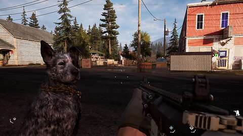 Chillin' with McLane! He's a good pup!