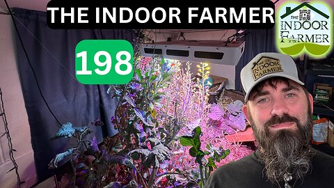 The Indoor Farmer ep 198, Headed Into Flower Season Plus Things Are Looking Good Inside . Let's Grow