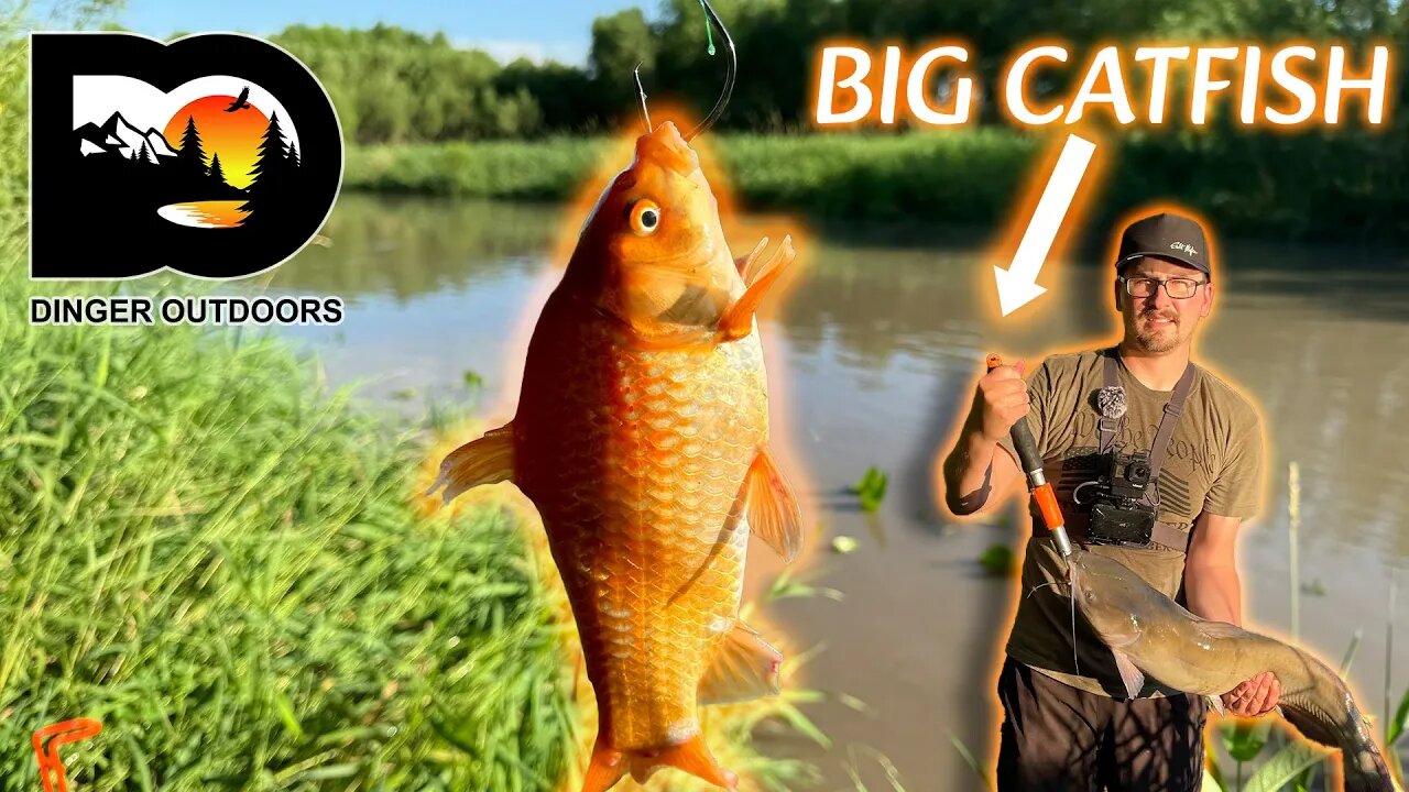 Flooded Creek Catfishing (Action Packed)