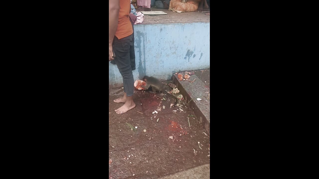 koti