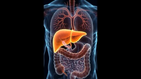 Liver 3D animation #3dmedico #medical #health