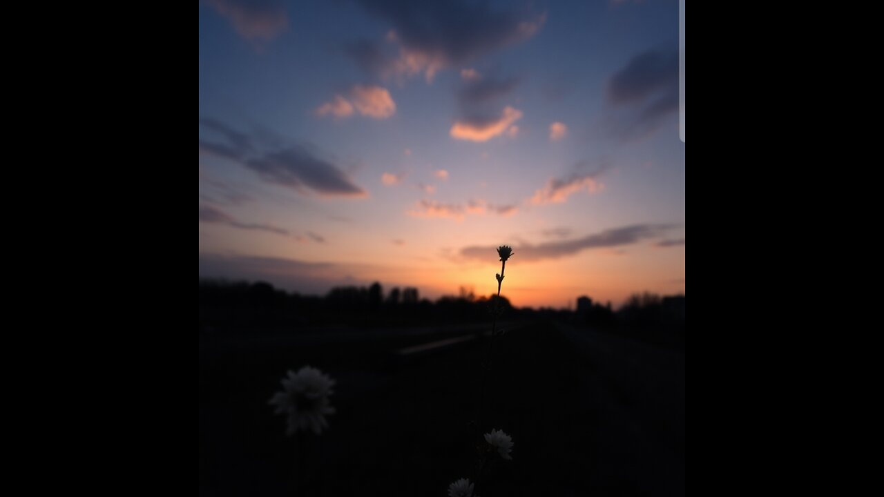 Forgotten Beauty