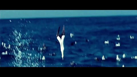 clip of actual stuff