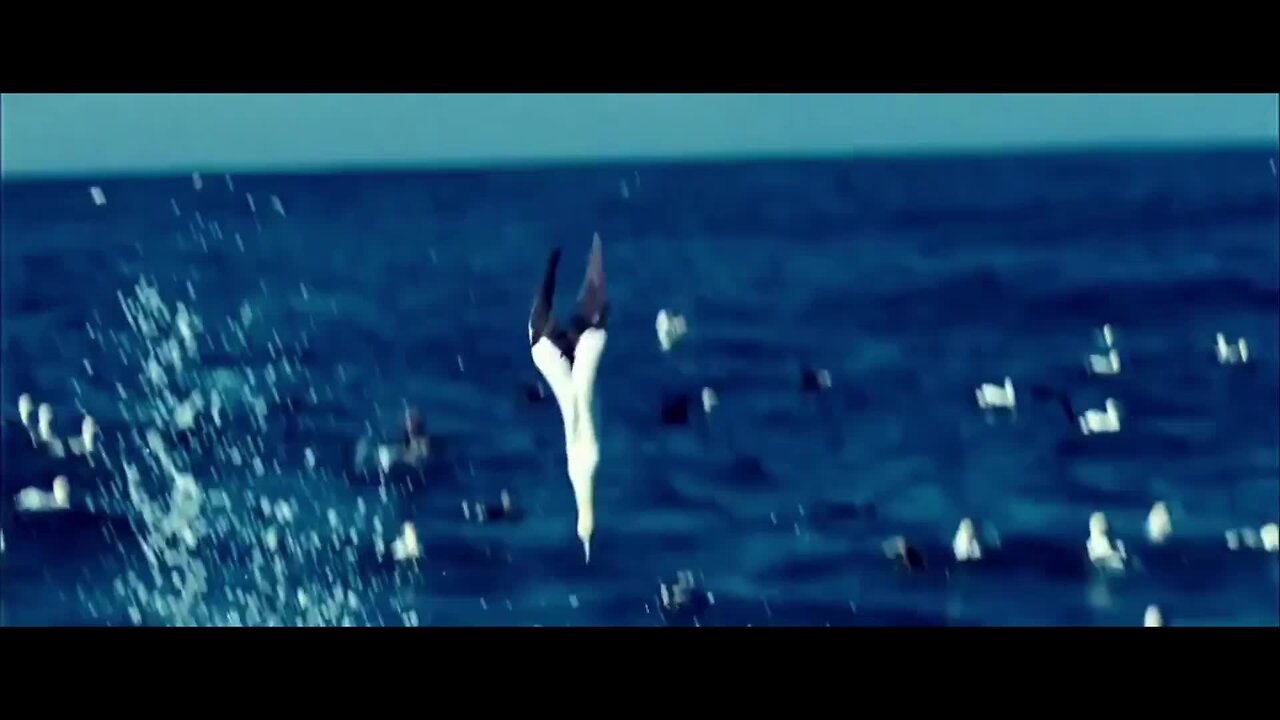 clip of actual stuff