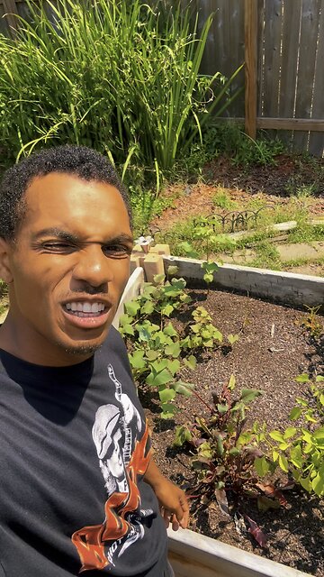 Harvest beats with me