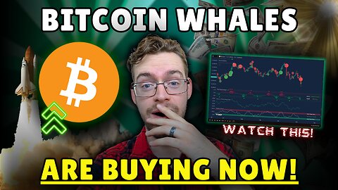 Bitcoin Whales Are BUYING This Dip!