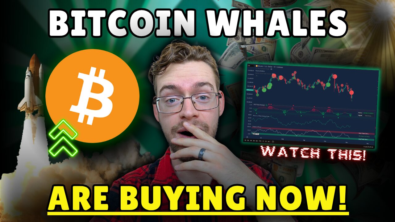 Bitcoin Whales Are BUYING This Dip!