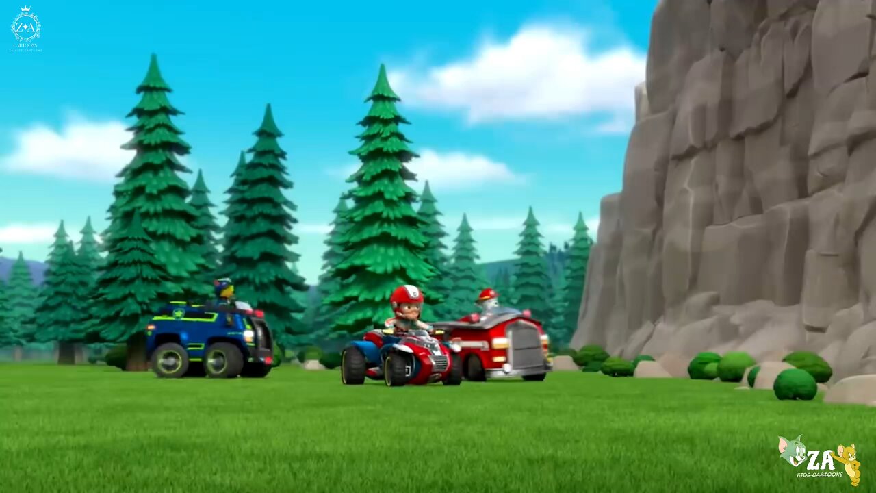PAW Patrol Cartoons