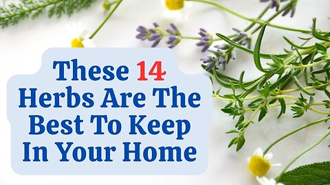 These 14 Herbs Are The Best To Keep In Your Home! HR09