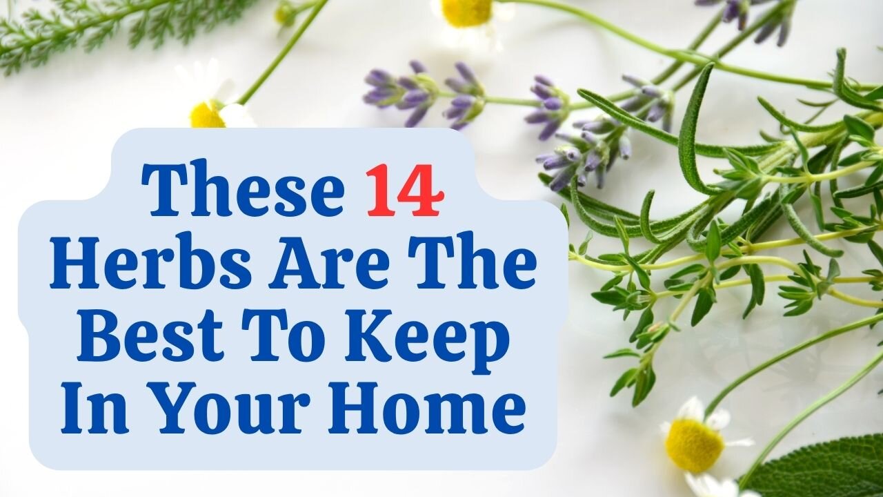 These 14 Herbs Are The Best To Keep In Your Home! HR09