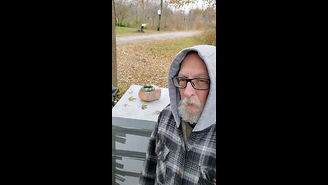 🐝Feedin SHUNGITE Sugar 2 da Bees 4 Winter 🐝