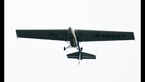 SELBY A WINGED FLYING MONKEY UNSAFE FLY REPORTED