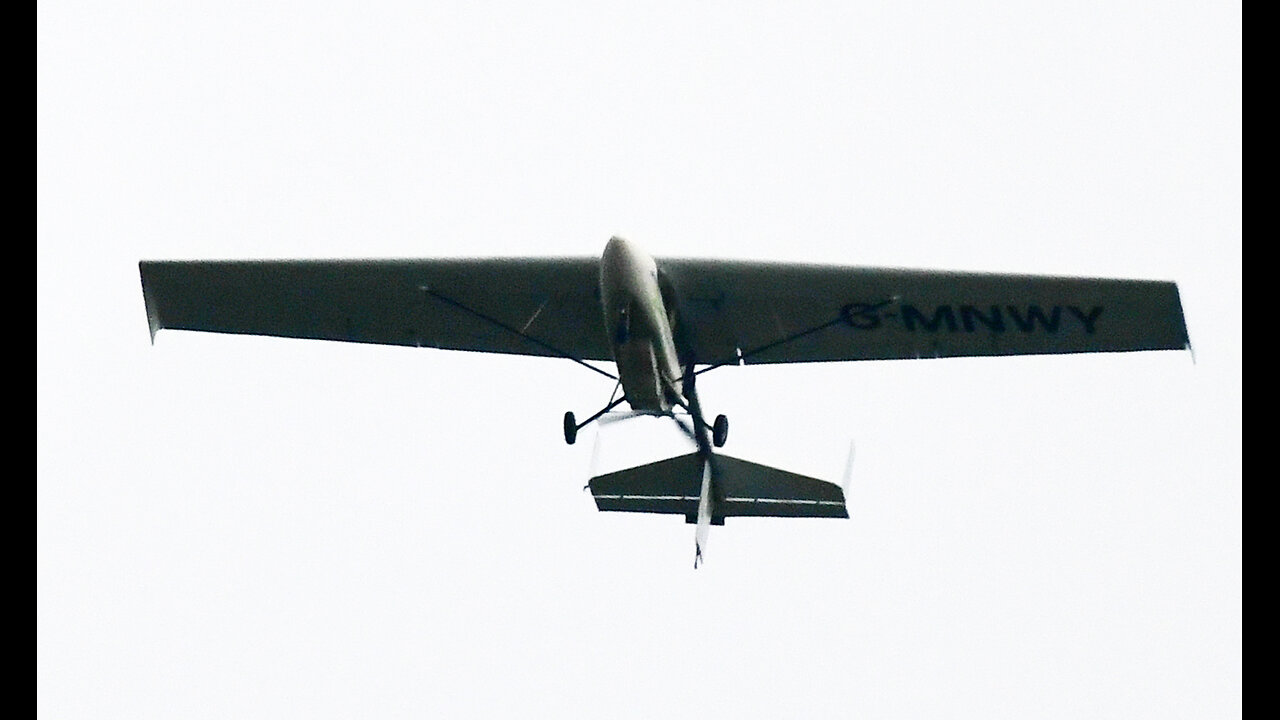 SELBY A WINGED FLYING MONKEY UNSAFE FLY REPORTED