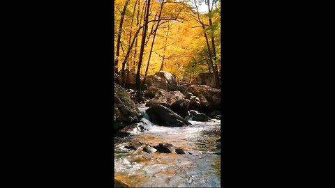 Daily Verse November 26th 2025