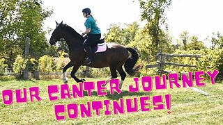TEACHING My Horse To CANTER!