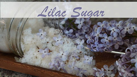 Homemade Lilac Sugar