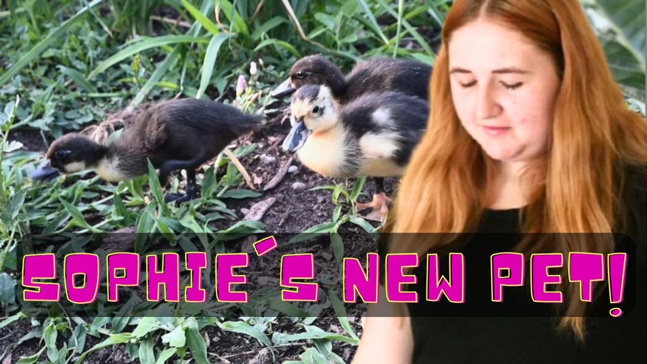 MEET Sophie's NEW PET!