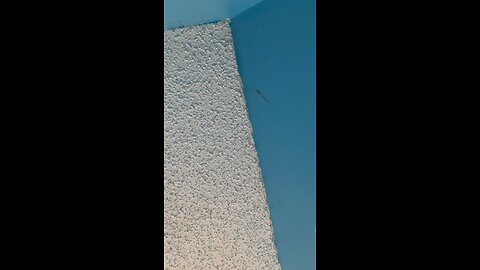 Dust