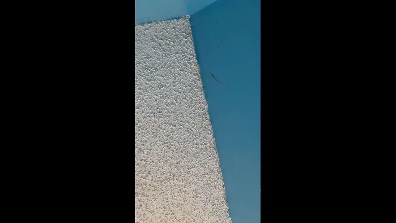 Dust