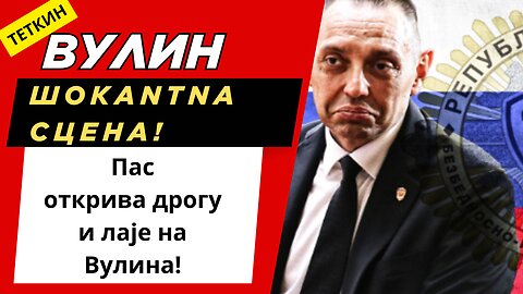 Пас који открива дроге: Лаје на министра полиције Вулина!