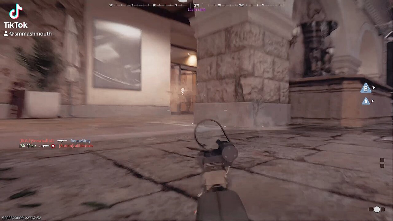 Call of Duty MIA