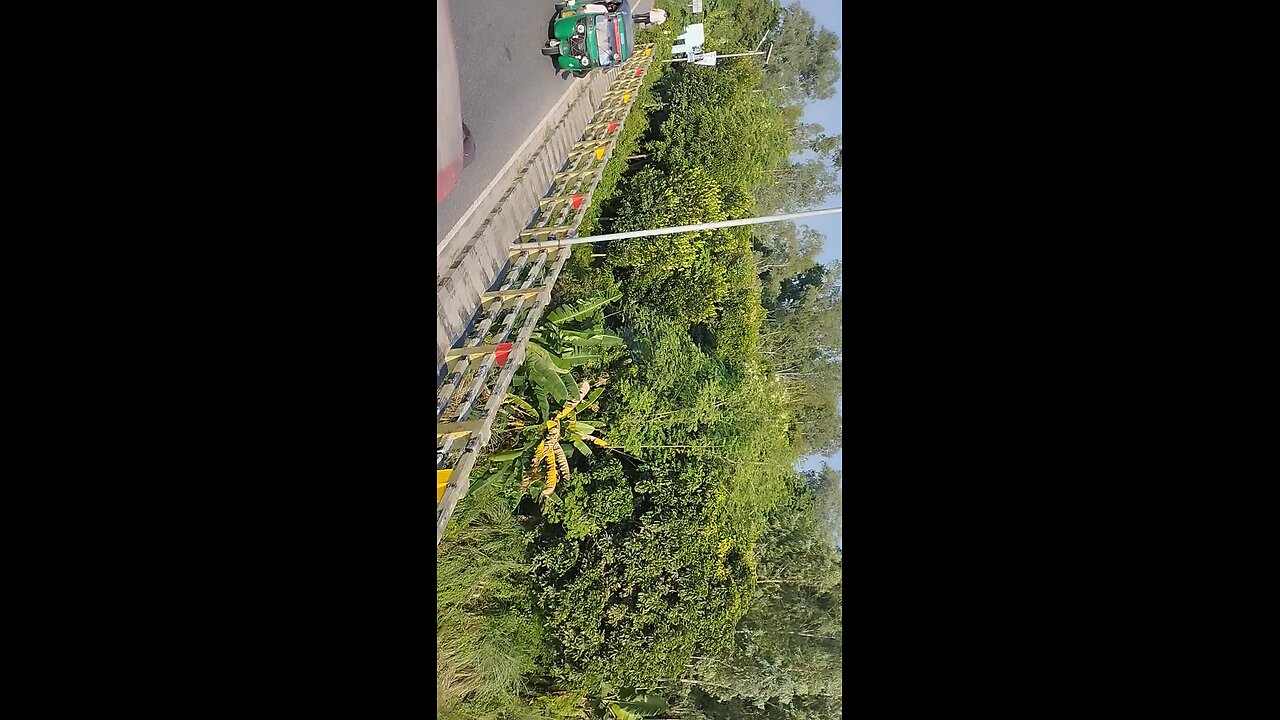 Bus Journey