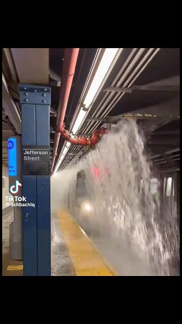 Four seasons in NY subway systems