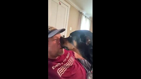 Personal space? What is personal space? 🥰 #cutedog #funnydog