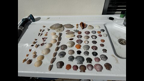 Beach Finds 11/24/2025 | 4K