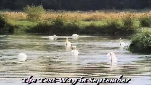 The Test Way in September 1988