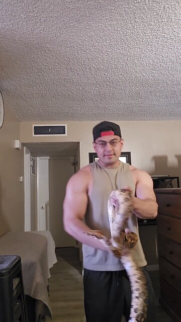 My Boa Constrictor #reptile #reptileexpo #pets #Venomous #boaconstrictor