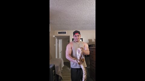 My Boa Constrictor #reptile #reptileexpo #pets #Venomous #boaconstrictor