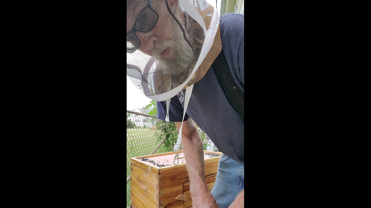 🐝Open Nuc Hive up 🐝