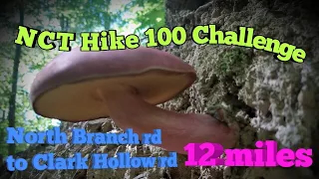 North Country Trail Challenge - North Branch rd to Clark Hollow rd - 12 miles