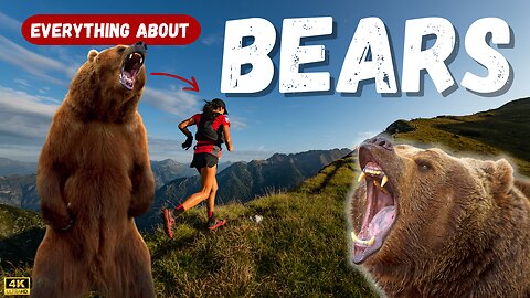 Bears: Learn Everything You Need To Know About These Incredible Wild Animals!