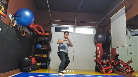 WTD 2 Step Kick Combination 135