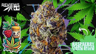 RASPBERRY PEANUT BUTTER 🍓🥜 (STRAIN REVIEW) | REVIEWS 4 U